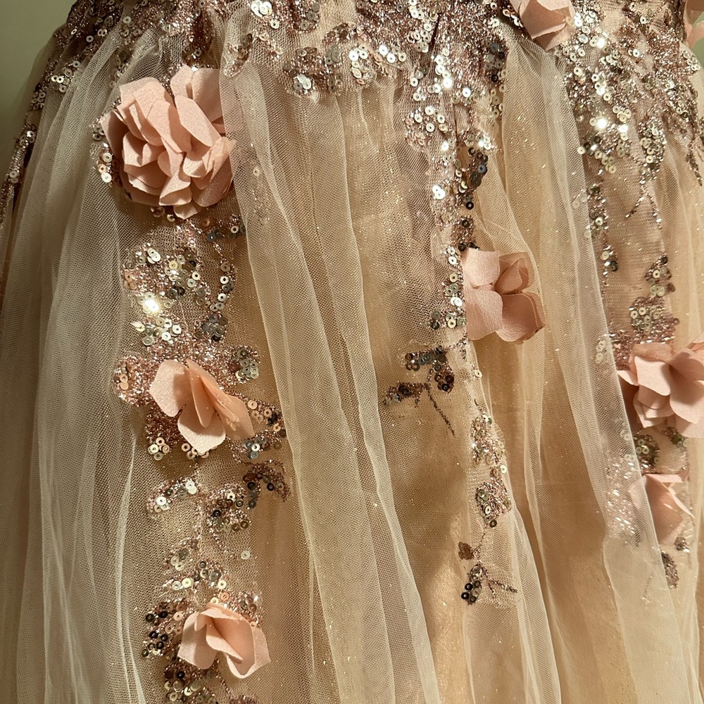 ⚡️SOLD⚡️Strapless Glitter Layered Tulle Ball Gown - Picture 9 of 11